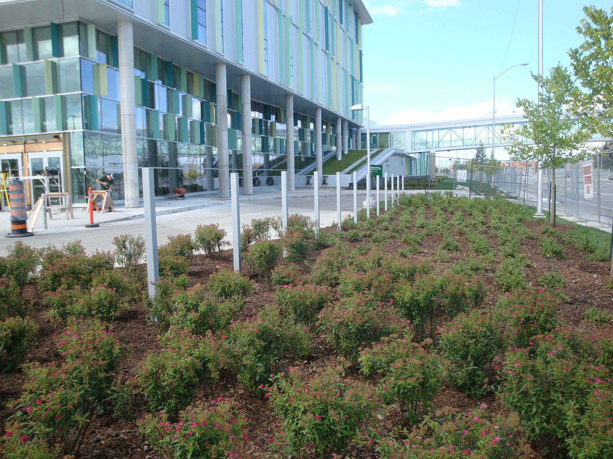 Institutional project – campus and civic planning, Ottawa area. GJA Inc.