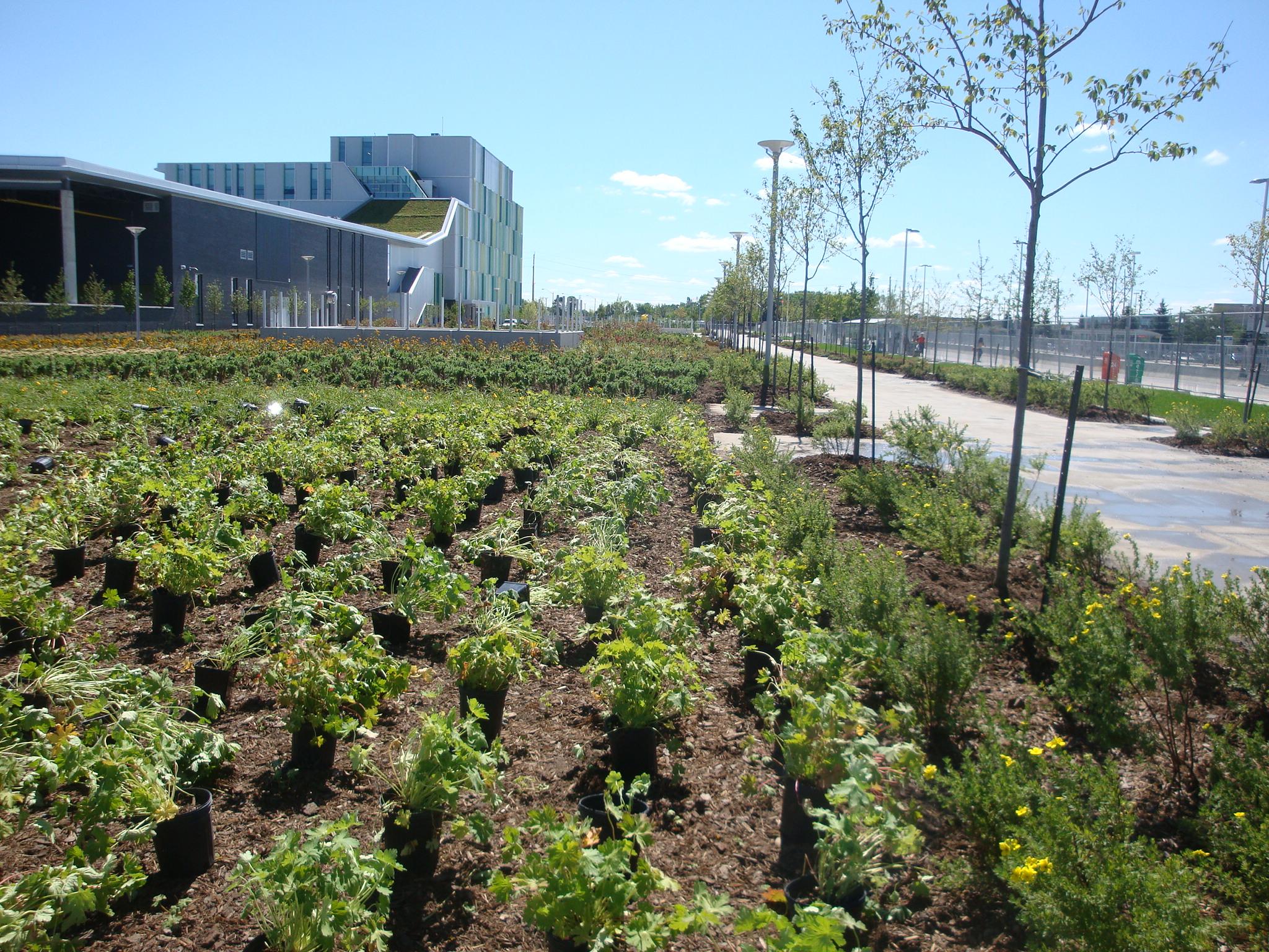 GJA Inc. — Landscape architect Ottawa. Terms of service.