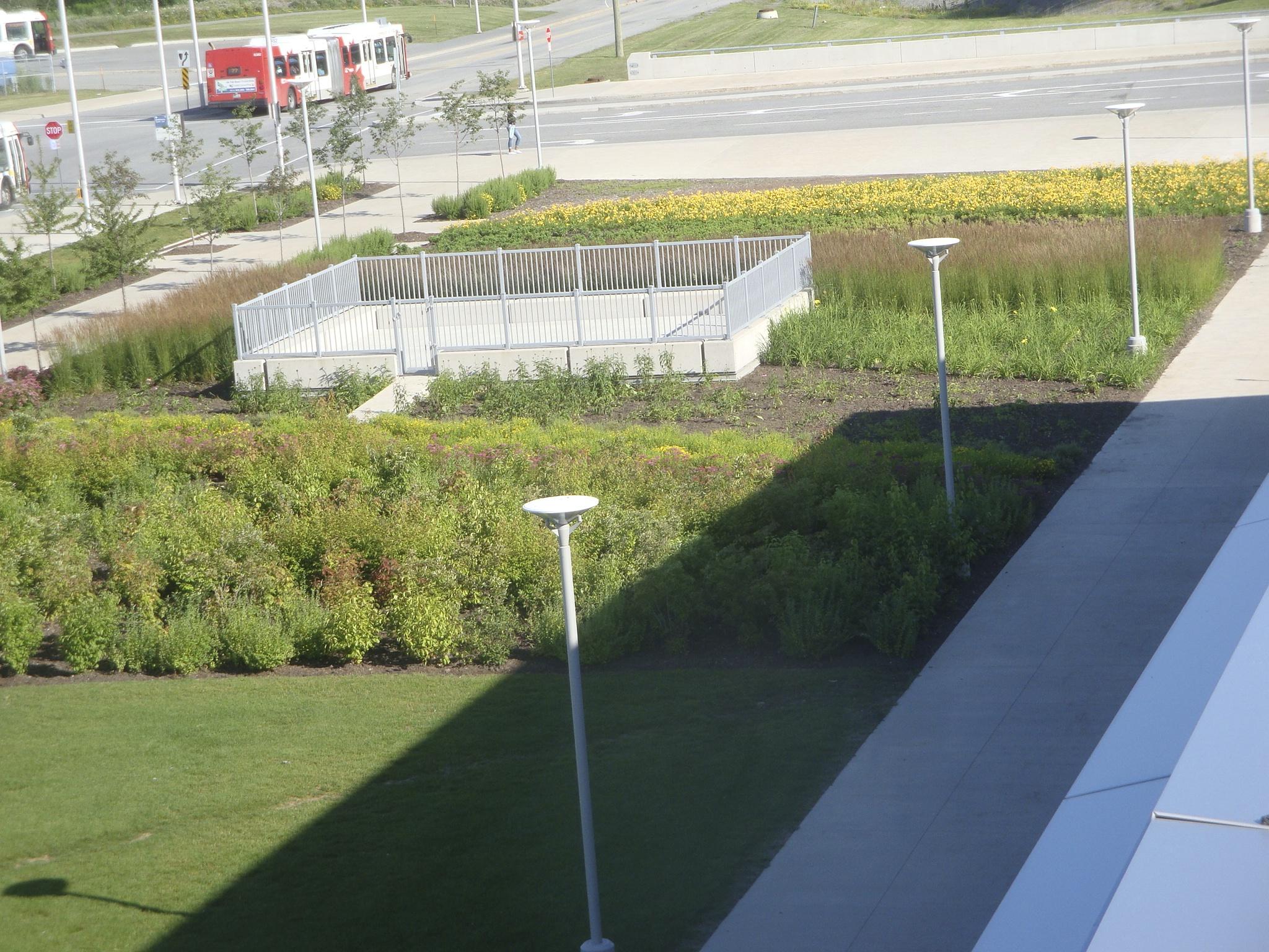 Algonquin College, Ottawa — Landscape design