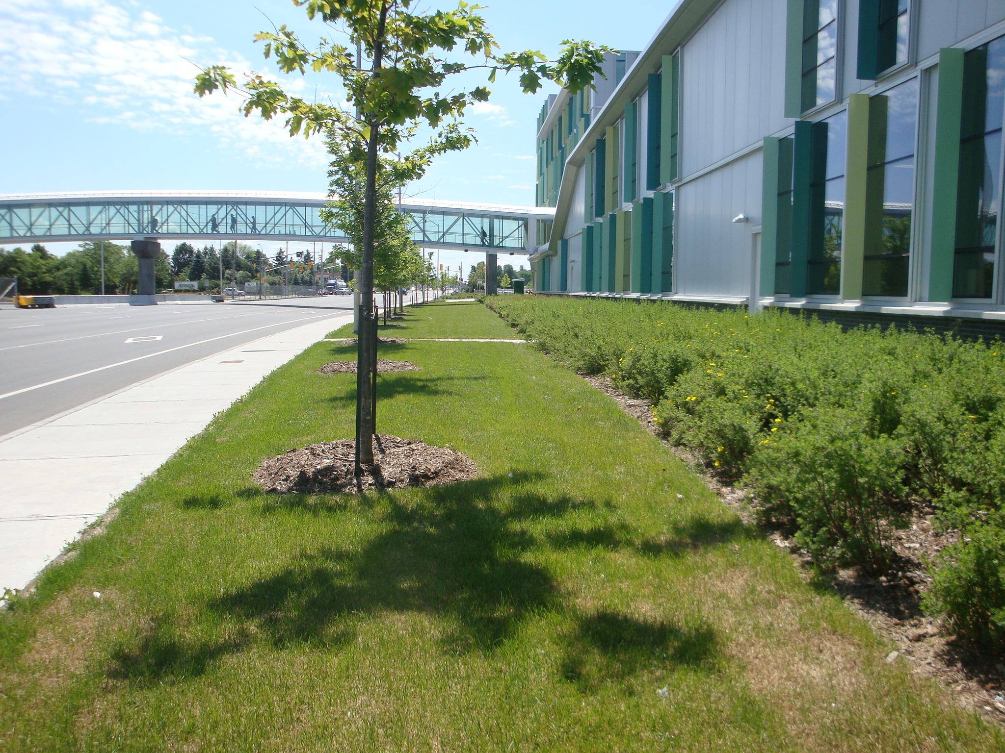 Ottawa Residential Development — Landscape