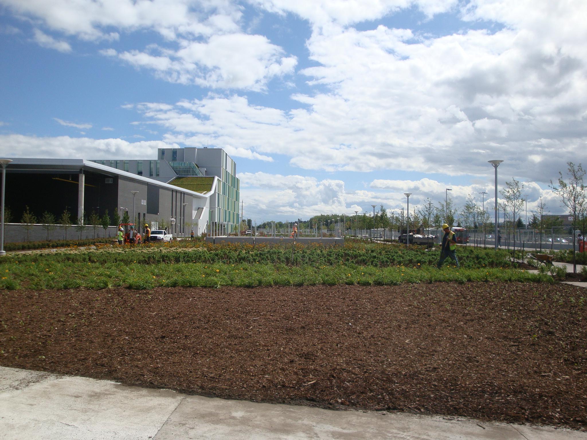 GJA Inc. project – commercial site with green roof and landscape, Ottawa area