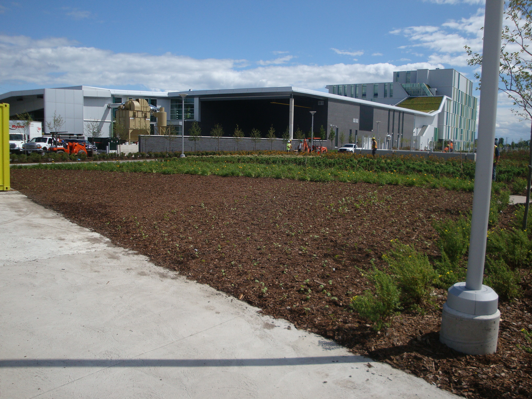Algonquin College, Ottawa — Site and landscape planning